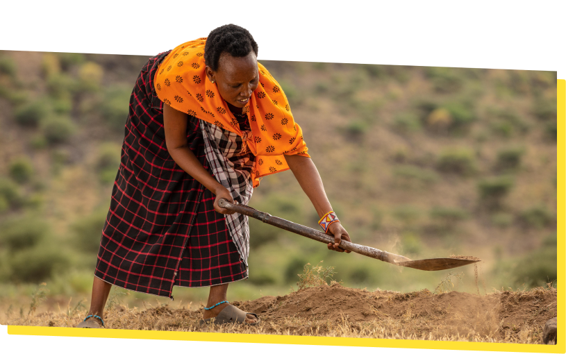 Farmer tending the land